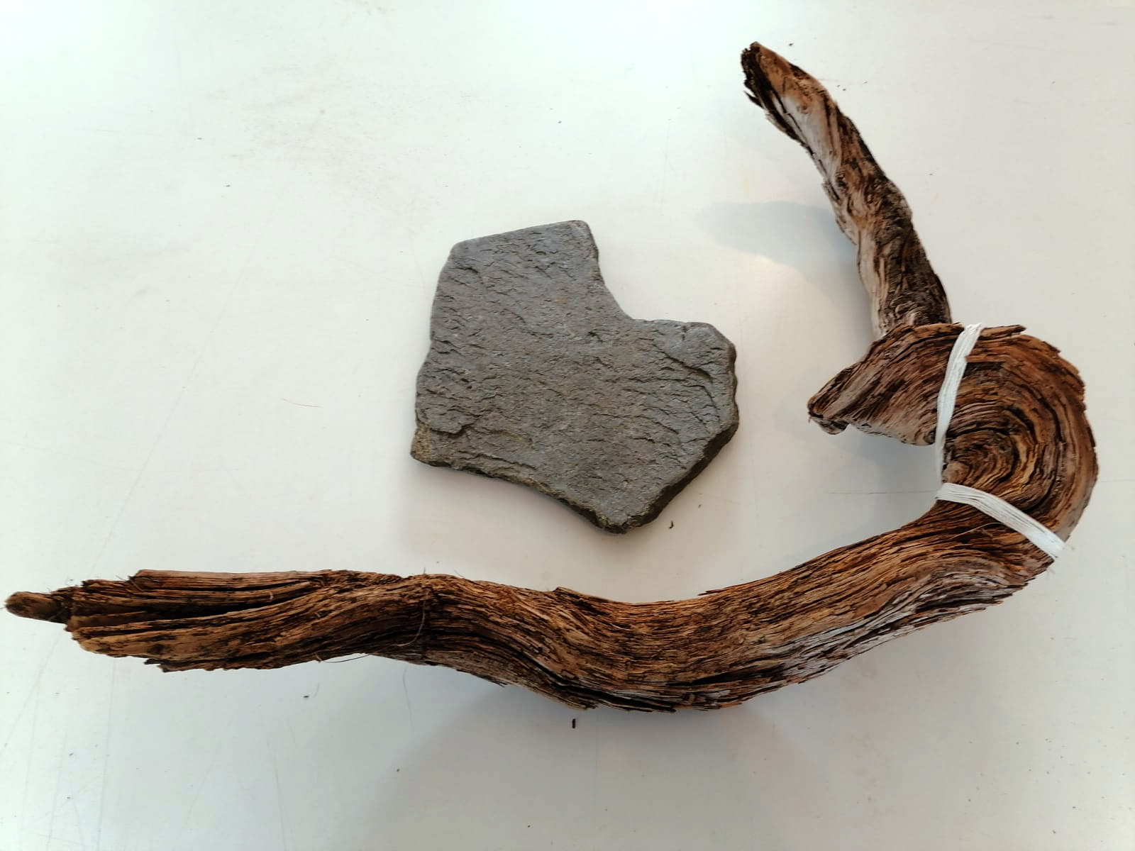 Sight Seeing Ian Joyce